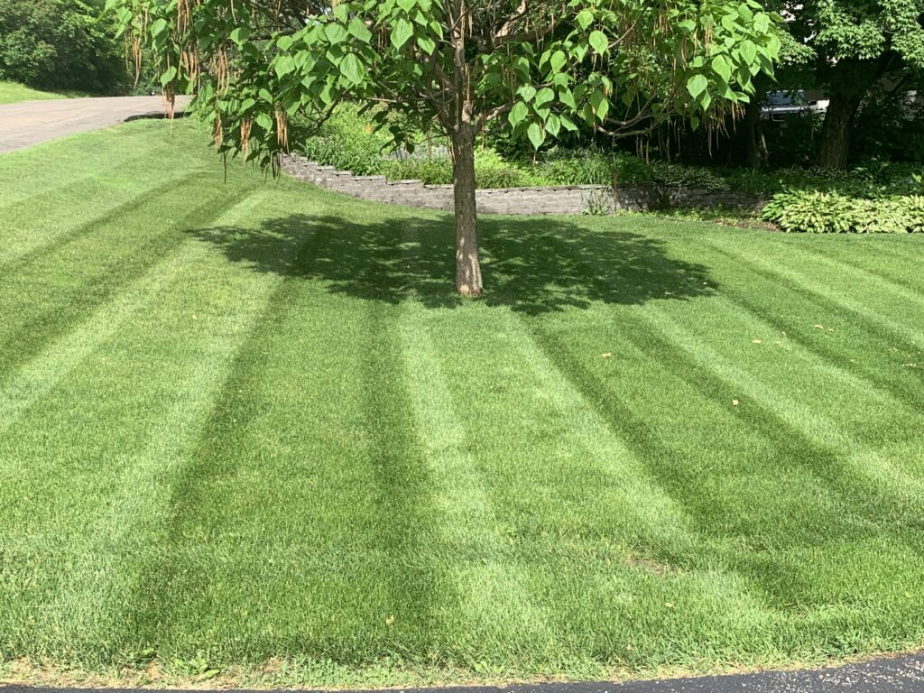 Contact us today for your mowing in Excelsior