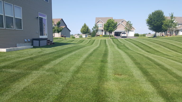 Lawn Mowing Service in St Boni